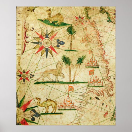 アフリカの北海岸 ポスター (正面)