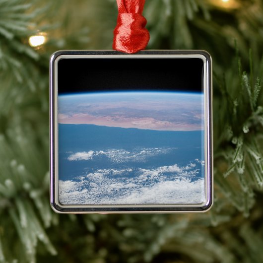 アフリカの南西部の海岸を見渡す。 メタルオーナメント (ツリー)