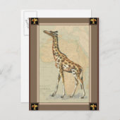 アフリカの地図とキリン ポストカード (正面/裏面)