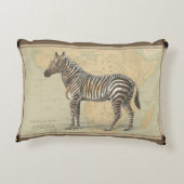 アフリカの地図とゼブラ アクセントクッション (裏面)