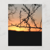 アフリカの夕日 チラシ (正面)