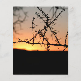 アフリカの夕日 チラシ