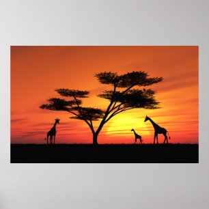 アフリカの夕日 ポスター