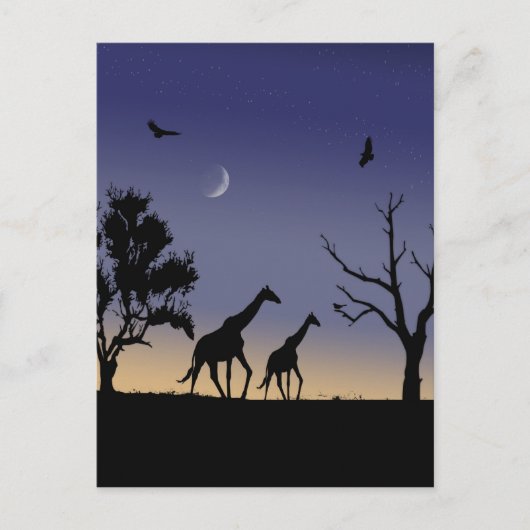 アフリカの夜明け – giraffes ポストカード (正面)