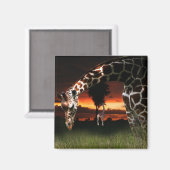 アフリカの学校分野 マグネット (正面/裏面)