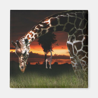 アフリカの学校分野 マグネット