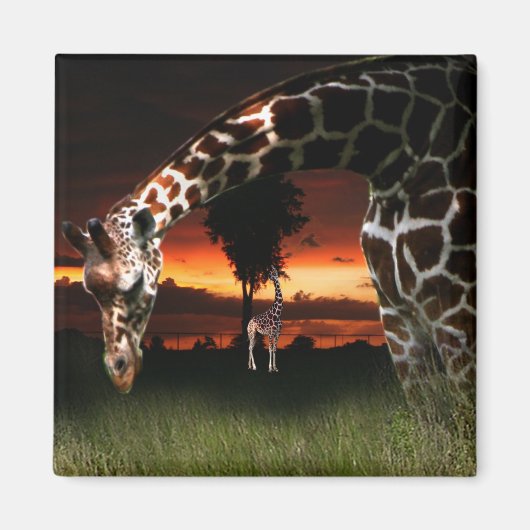 アフリカの学校分野 マグネット (正面)