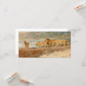 アフリカの川岸の獅子 カード (正面/裏面インサイチュ)