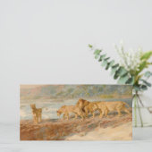 アフリカの川岸の獅子 カード (スタンド正面)
