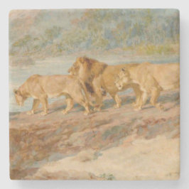アフリカの川岸の獅子 ストーンコースター