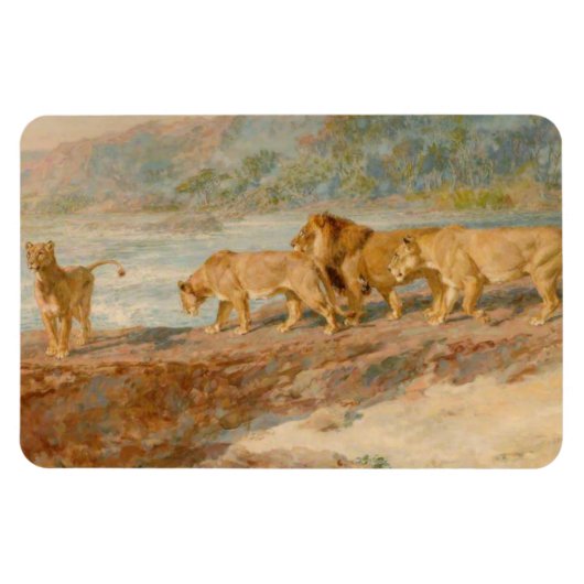 アフリカの川岸の獅子 マグネット (横)