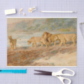 アフリカの川岸の獅子 薄葉紙 (クラフト)