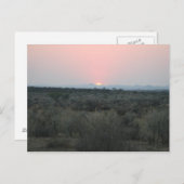 アフリカの日没はがき ポストカード (正面/裏面)