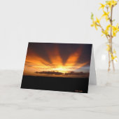アフリカの日没 カード (黄色い花)