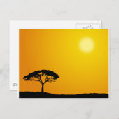 アフリカの景色 ポストカード (正面/裏面)