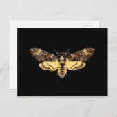 アフリカの死にすぎないホウガチョウ  ポストカード (正面/裏面)