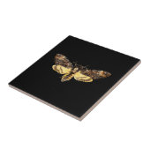 アフリカの死頭蛾の蝶の昆虫アケロンティ タイル (側面)