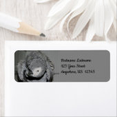 アフリカの灰色のオウムかわいい鳥の#2アドレス ラベル (インサイチュ)