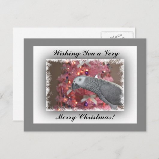 アフリカの灰色のオウムと氷のようなピンクのクリスマスツリー シーズンポストカード (正面/裏面)