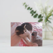 アフリカの灰色のオウムと猫、ポストクロッシング葉書 ポストカード (スタンド正面)