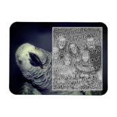 アフリカの灰色のオウムのフレームあなたの写真を追加 マグネット (横)