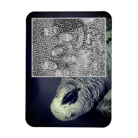 アフリカの灰色のオウムのフレームあなたの写真を追加 マグネット (縦)