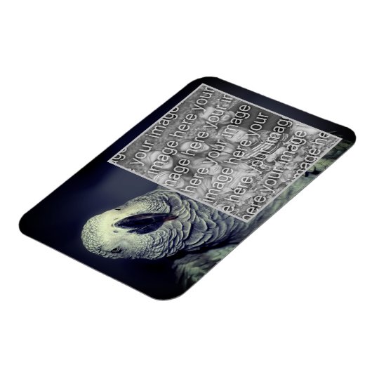 アフリカの灰色のオウムのフレームあなたの写真を追加 マグネット (左側)