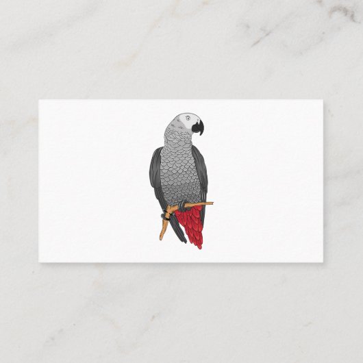 アフリカの灰色のオウムの漫画イラストレーション 名刺 (裏面)