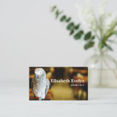 アフリカの灰色のオウムまたはコンゴのアフリカ 名刺 (スタンド正面)