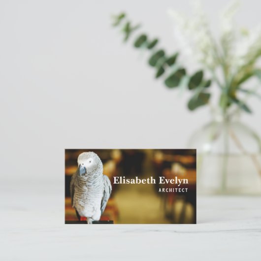 アフリカの灰色のオウムまたはコンゴのアフリカ 名刺 (スタンド正面)