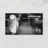 アフリカの灰色のオウムまたはコンゴのアフリカ 名刺 (裏面)