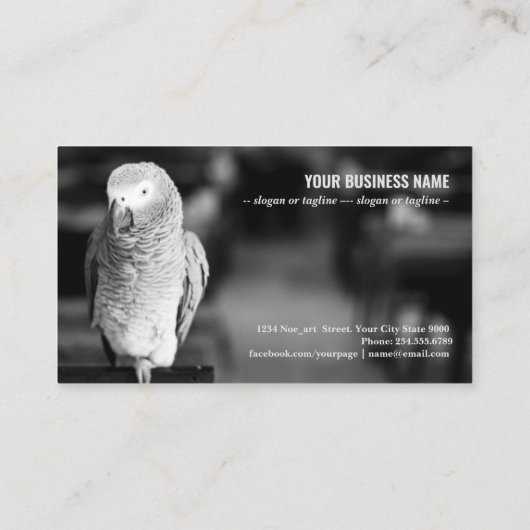 アフリカの灰色のオウムまたはコンゴのアフリカ 名刺 (裏面)