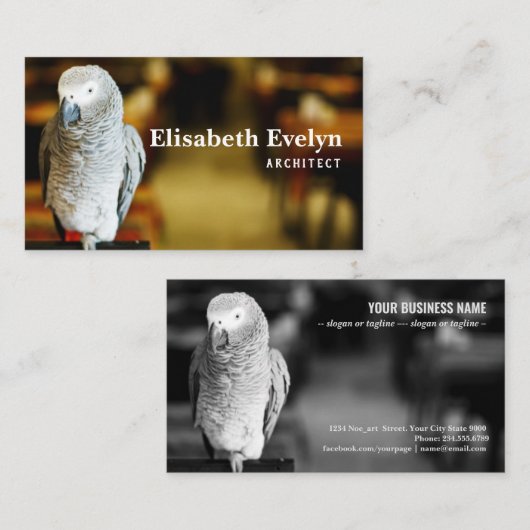 アフリカの灰色のオウムまたはコンゴのアフリカ 名刺 (正面/裏面)