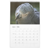 アフリカの灰色のパロットカレンダー2025 カレンダー (3月 2026)