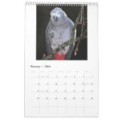 アフリカの灰色のパロットカレンダー2025 カレンダー (2月 2026)