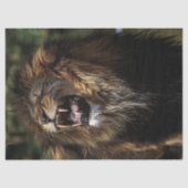 アフリカの男性の轟音を立てるライオン油絵 薄葉紙 (正面)