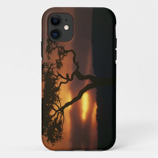 アフリカの秘境 ケニア マサイマラ ステンドグラス Case-Mate iPhoneケース (裏面)