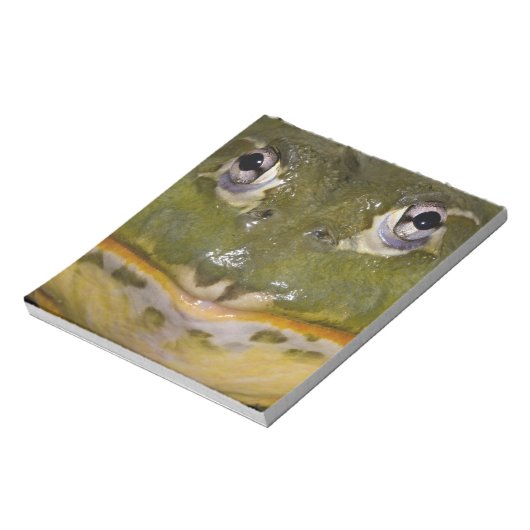 アフリカの穴居性ブルガエル,ピキシセファラス ノートパッド (回転)