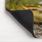 アフリカの穴居性ブルガエル,ピキシセファラス マウスパッド (コーナー)