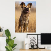 アフリカの絵画の野生の犬 ポスター (ホームオフィス)