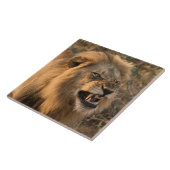 アフリカの自然環境のライオン タイル (側面)