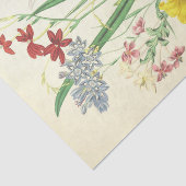 アフリカの花ヴィンテージイラストレーション 薄葉紙 (詳細)