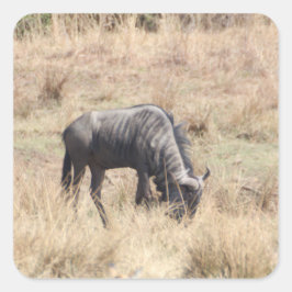 アフリカの茂みの青い野生の放牧 スクエアシール