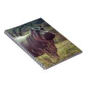 アフリカの葉でカメラでポーズをとるヒッポの立ち上がり ノートブック (右側)