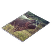 アフリカの葉でカメラでポーズをとるヒッポの立ち上がり ノートブック (左側)