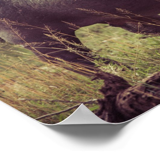 アフリカの葉でカメラでポーズをとるヒッポの立ち上がり ポスター (角)