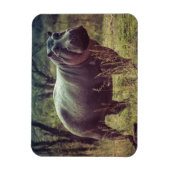 アフリカの葉でカメラでポーズをとるヒッポの立ち上がり マグネット (縦)