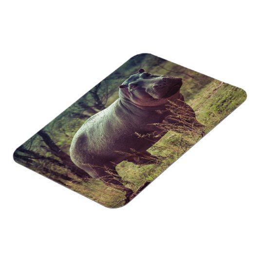 アフリカの葉でカメラでポーズをとるヒッポの立ち上がり マグネット (左側)