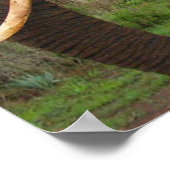 アフリカの象のアップクローズのポスター ポスター (角)