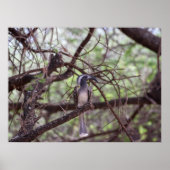 アフリカの農業地域の農業地域 ポスター (正面)